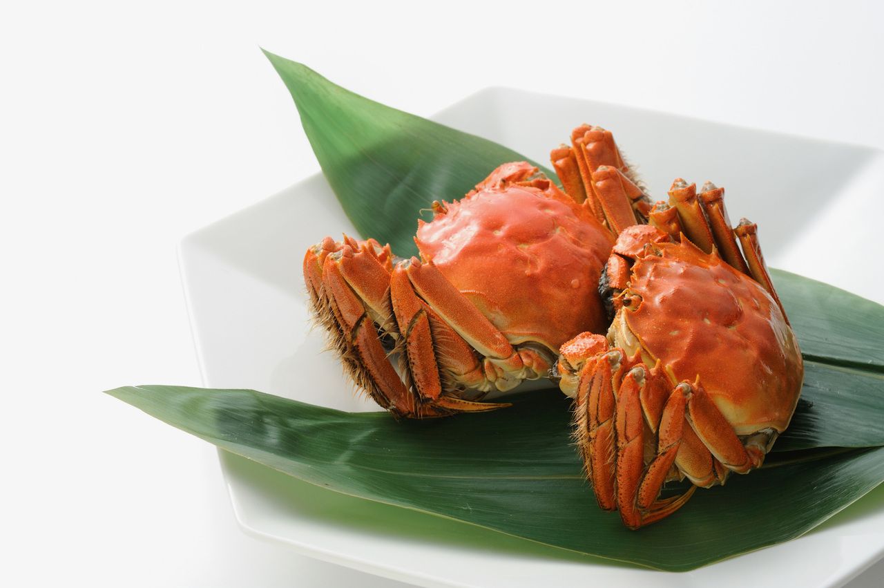 《ランチ限定》ダブル上海蟹ショートコース（オス＆メス食べ比べ）