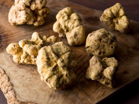 Yakiniku Yazawa White Truffle Course