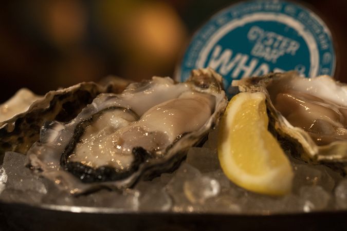 Nishiogikubo Oyster Bar Wharf