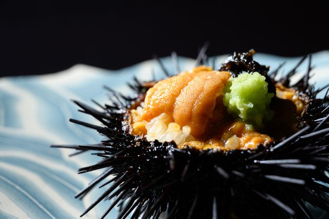 六本木 kappou ukai