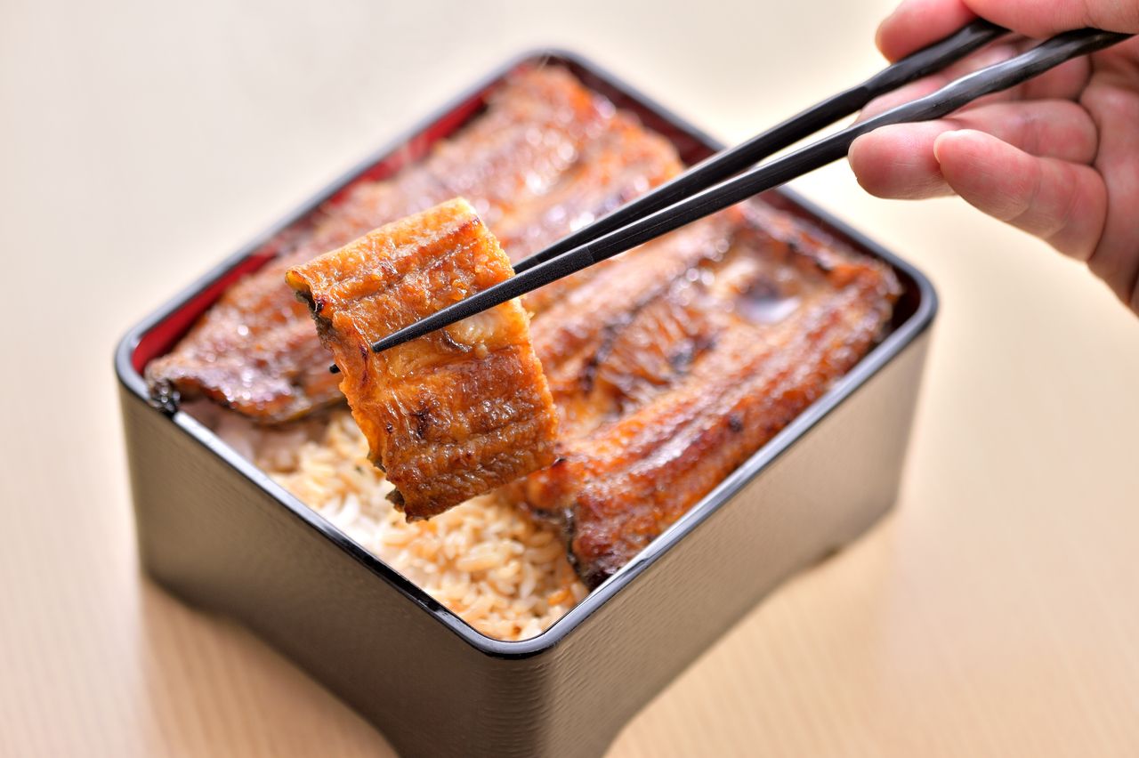 鳗鱼套餐（极品）