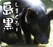 The island black (Shimakuru) is fully enjoyed! 【90min All you can drink 】