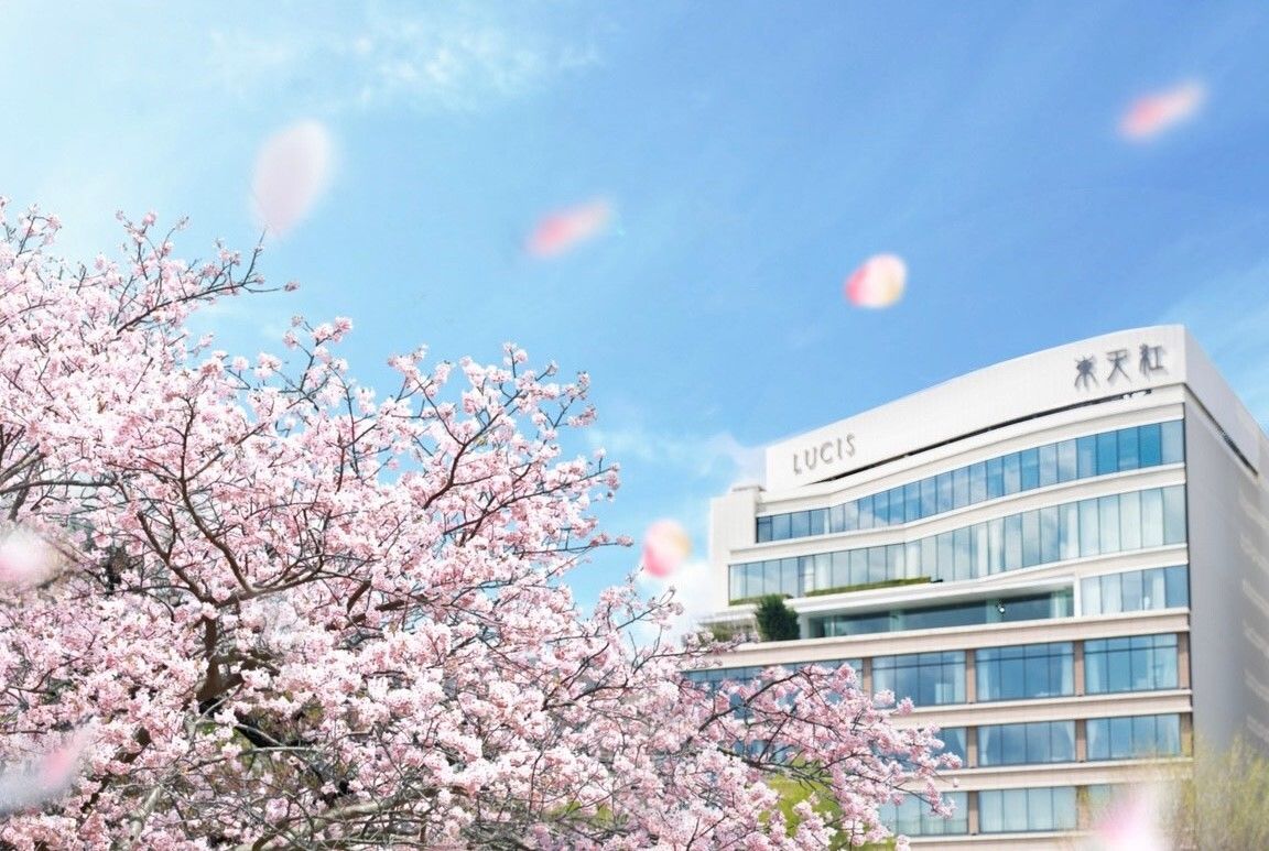 ◆平日限定＜春の彩りランチ＞上野の桜を一望しながら優雅なお花見を！