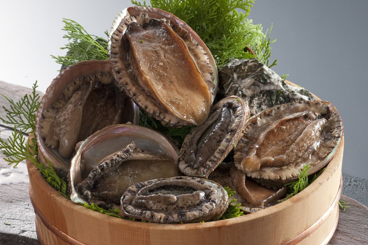 For 2 Persons – Basic Course plus Abalone A wonderful opportunity to taste Shima Cuisine caught by Ama, women, Divers.