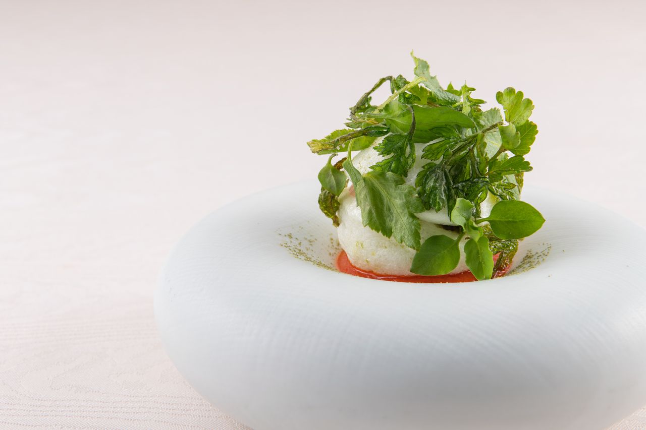 《 QUEUE DE LAPIN 》-お顔合わせプラン-