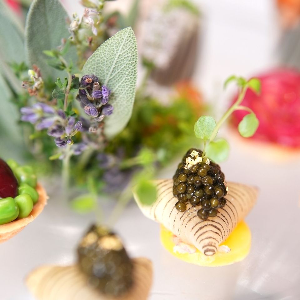 Lunch Course "Savory collection"(drink not included)