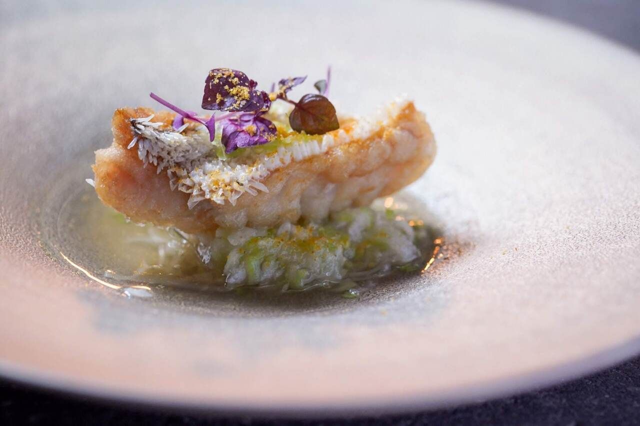 【Lunch】Premium Lunch