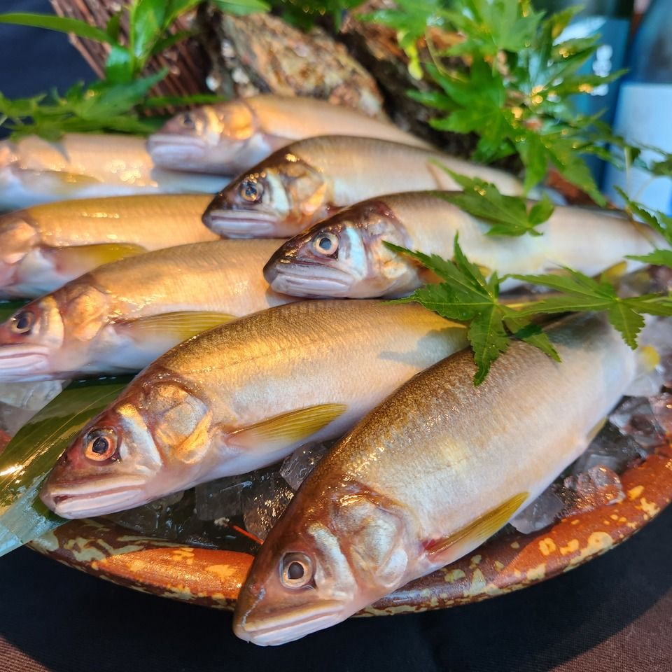  Ark's summer specialty: Enjoy Fukui Prefecture's Kuzuryu sweetfish grilled over a hearth - 8 dishes in total - + choice of 1 drink