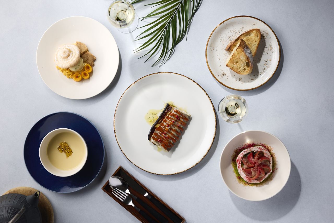 No.1] ・Choice of appetizer, soup, main dish, and dessert (5-course menu) (special price)