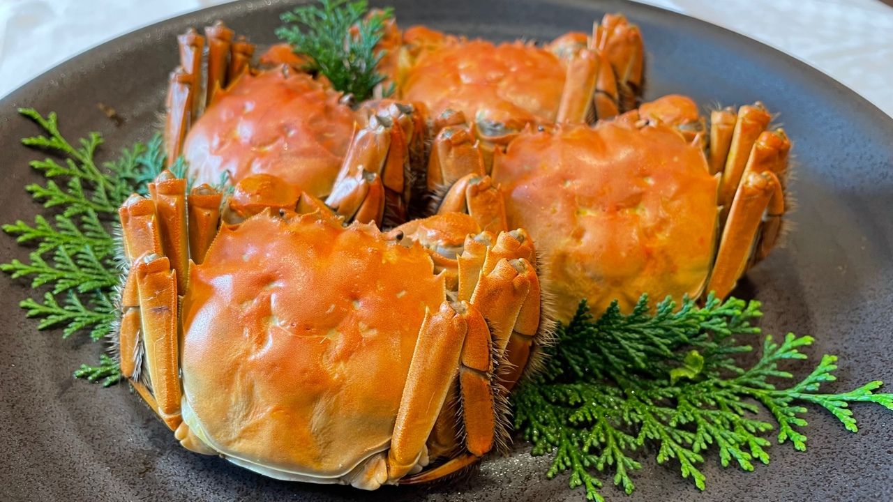 【上海蟹】　楊 琴 YANGQIN