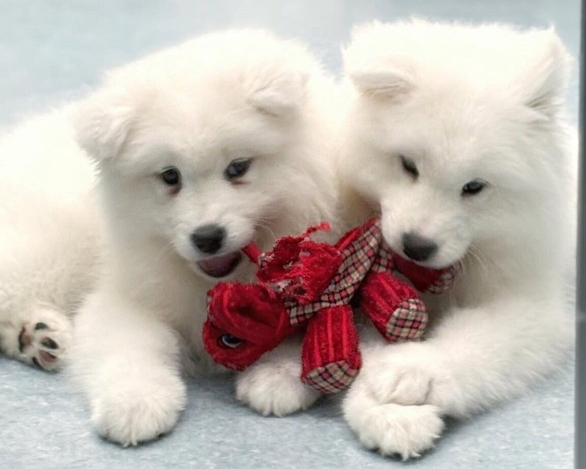 ≪평일≫ 통상 티켓(50분)