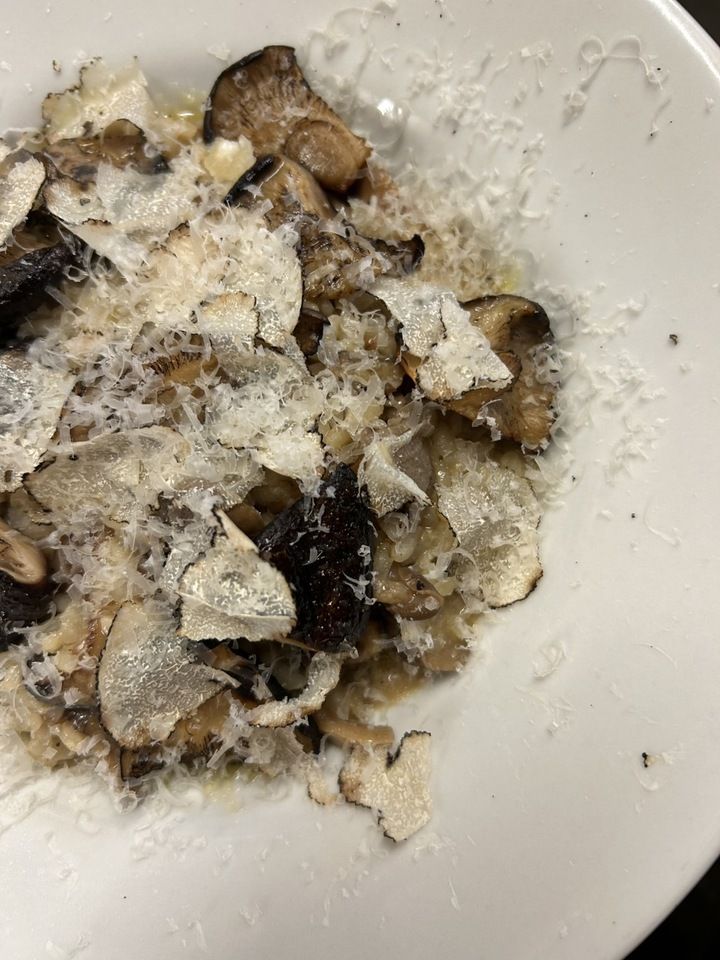 【每人一份】特別套餐（7道菜）