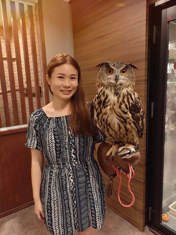 [Adult] Interaction + Owl interaction experience + 1 drink included