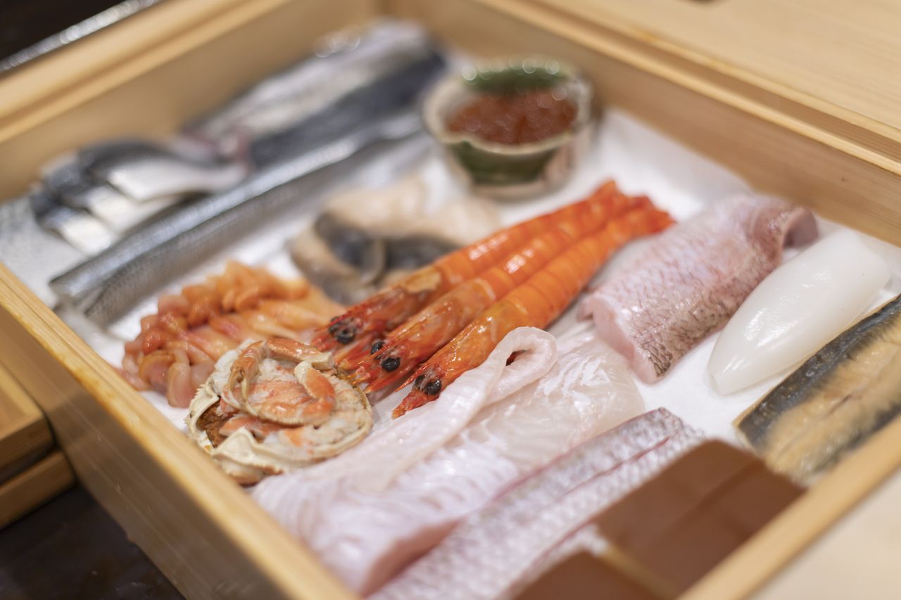 夜のおまかせコース　