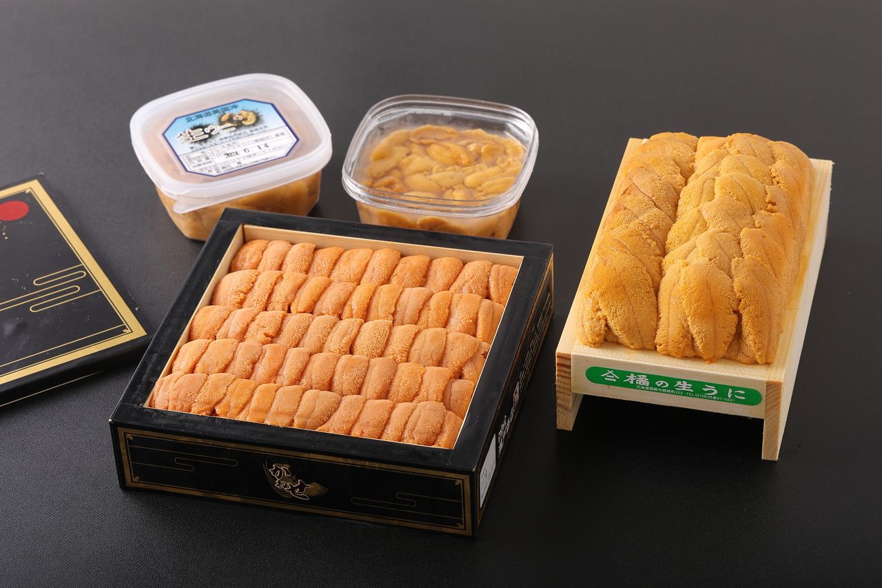 【個室】おまかせコース「雲丹代官」　握り8~10貫（雲丹3~4種食べ比べ付き）／料理4品ほど