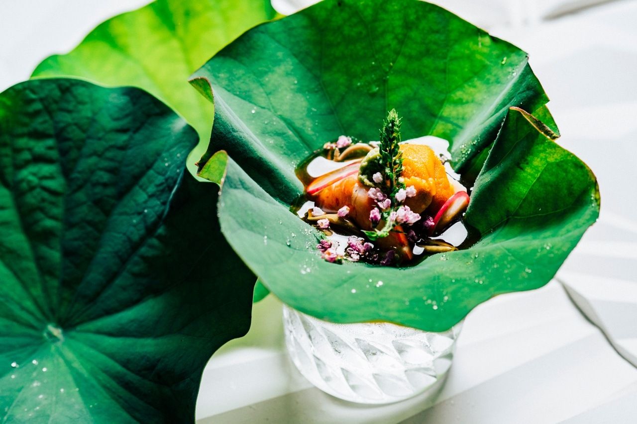 【술집 짧은 코스】 술도 즐길 수있는 볼륨 적은 코스 ※ 식사, 디저트 없음