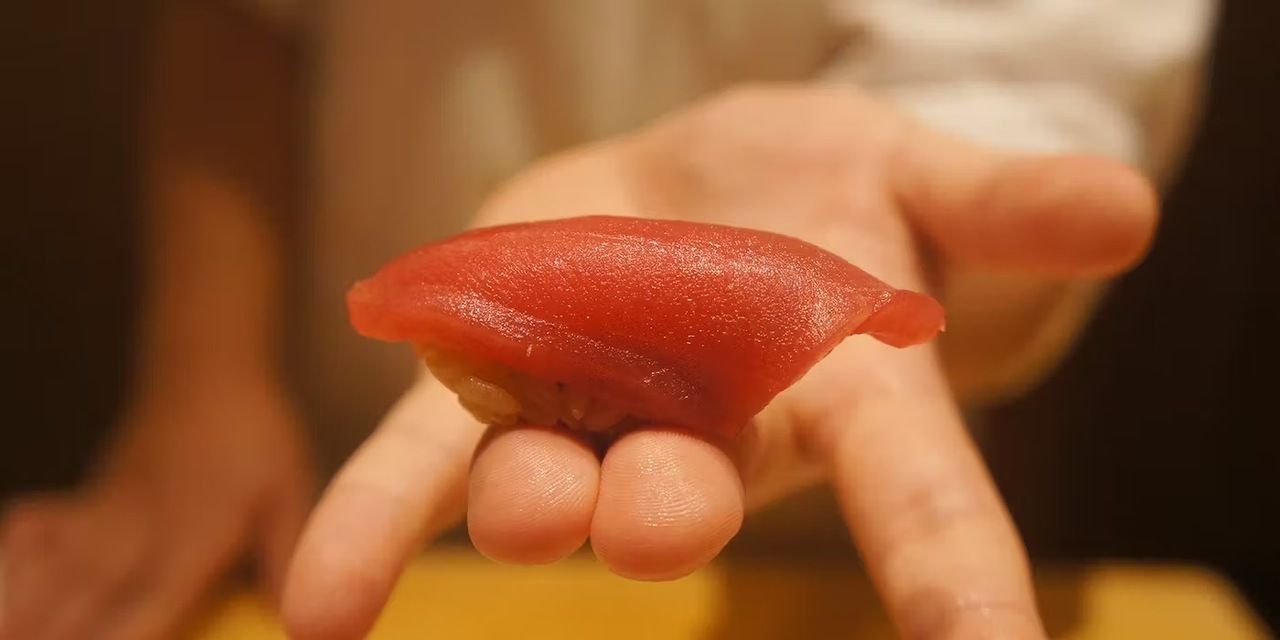 ランチ限定握りコース