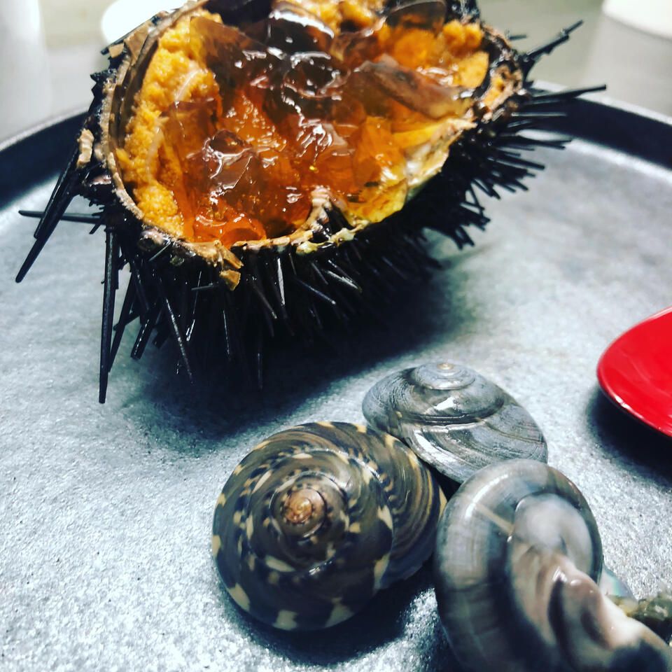 Chef's Selected Omakase Course — Approximately 6 dishes + Welcome Champagne