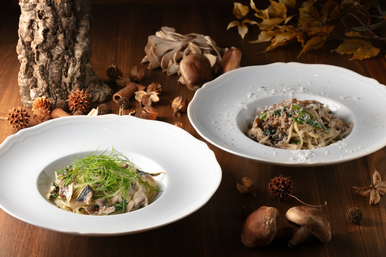 【WEB限定　ディナー】Casuale Course　