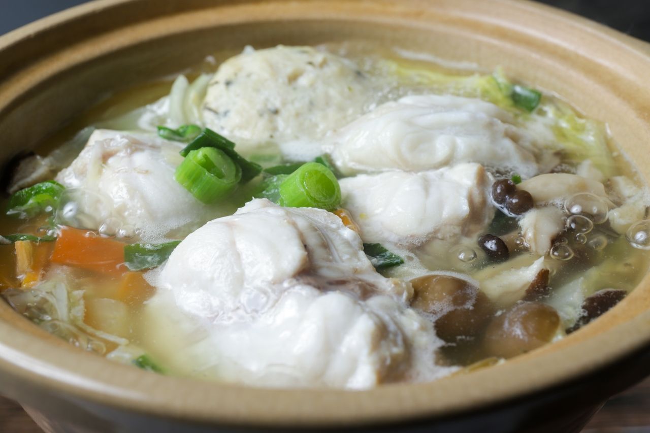 คอร์สปลาปักเป้า "ทาคุมิ"