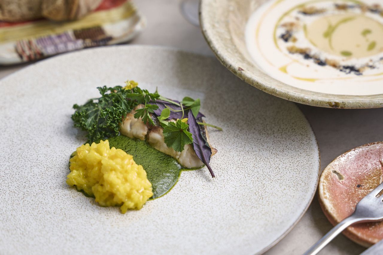 [Weekday Lunch] PLANTS: A 4-course meal including spring vegetable terrine and chilled new onion potage.