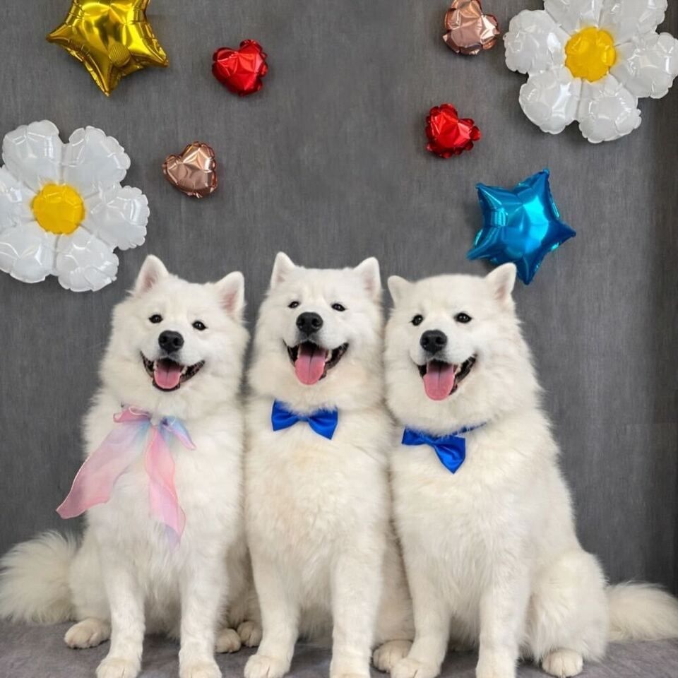 Birthday event ticket (50 minutes)