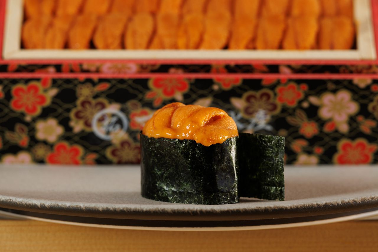 雲丹の食べ比べ、蒸し鮑の肝ソース、本鮪等、厳選食材使った『大将特選おまかせコース』