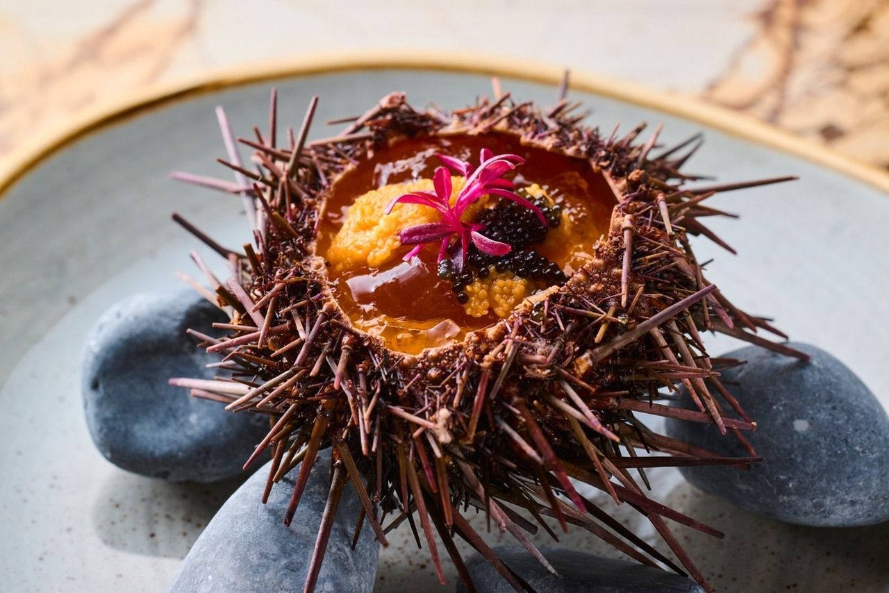 【Rosa Course】Pinchos & Tapas (including specialties) + Grilled Okinawan Wagyu Beef + Choice of Paella + Choice of Dessert