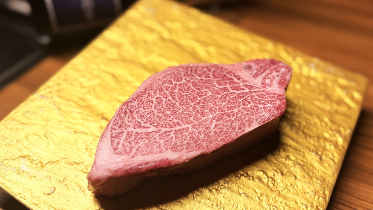 [PONGA Heaven Course] PONGA's finest feast—the pinnacle of flavor.
