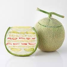 Comes with melon cake! Japan Welcome Course ¥30,000 + ¥24,000/1 piece (tax included)～