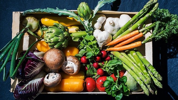 Girandole by Alain Ducasse