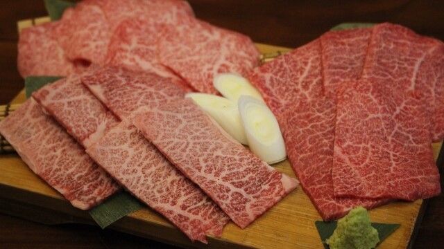 Osaka Panga