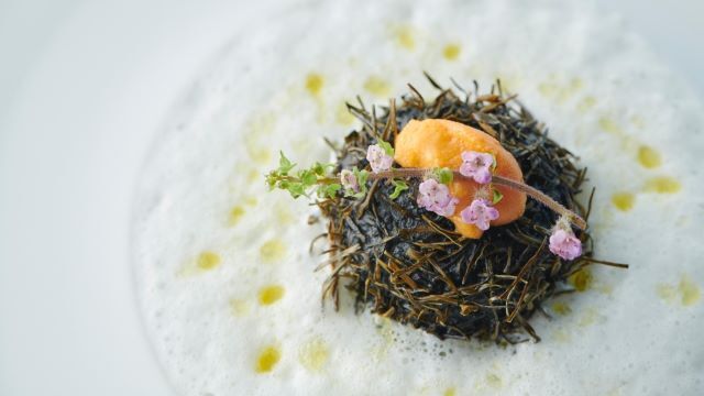 NOUVELLE POUSSE OKURAYAMA