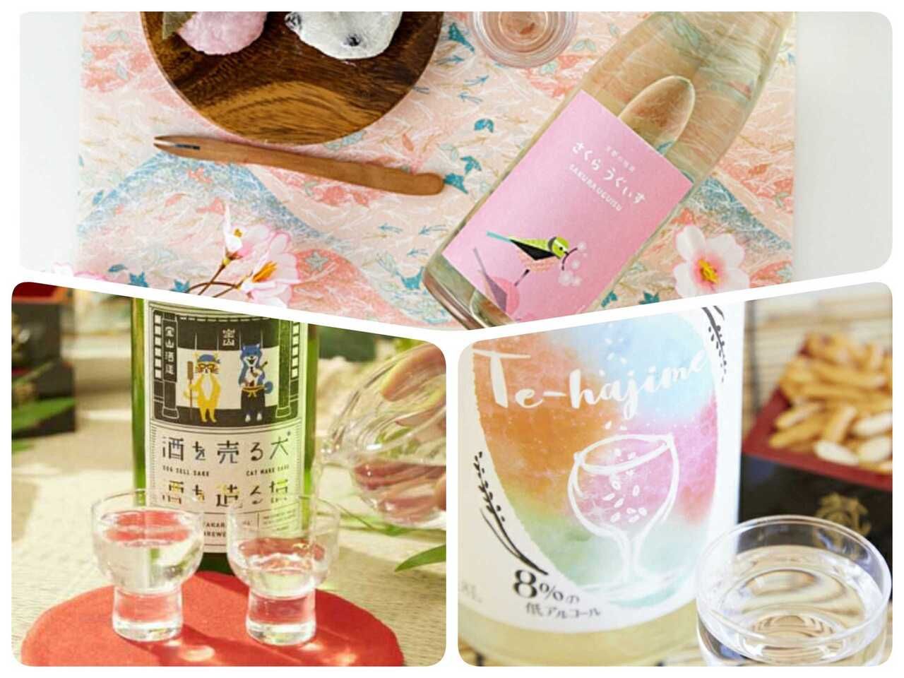 【テイクアウト】初心者セット