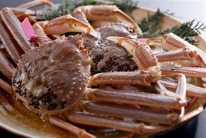 烤活松叶蟹和黑毛和牛夏多布里昂套餐【11月7日～4月上旬供应】55000日元〜（市场价）*本季的市场价尚未确定，因此价格仅供参考。