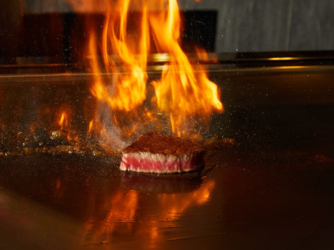 鉄板焼ヒレ シグネチャーコース～お食事のみ～