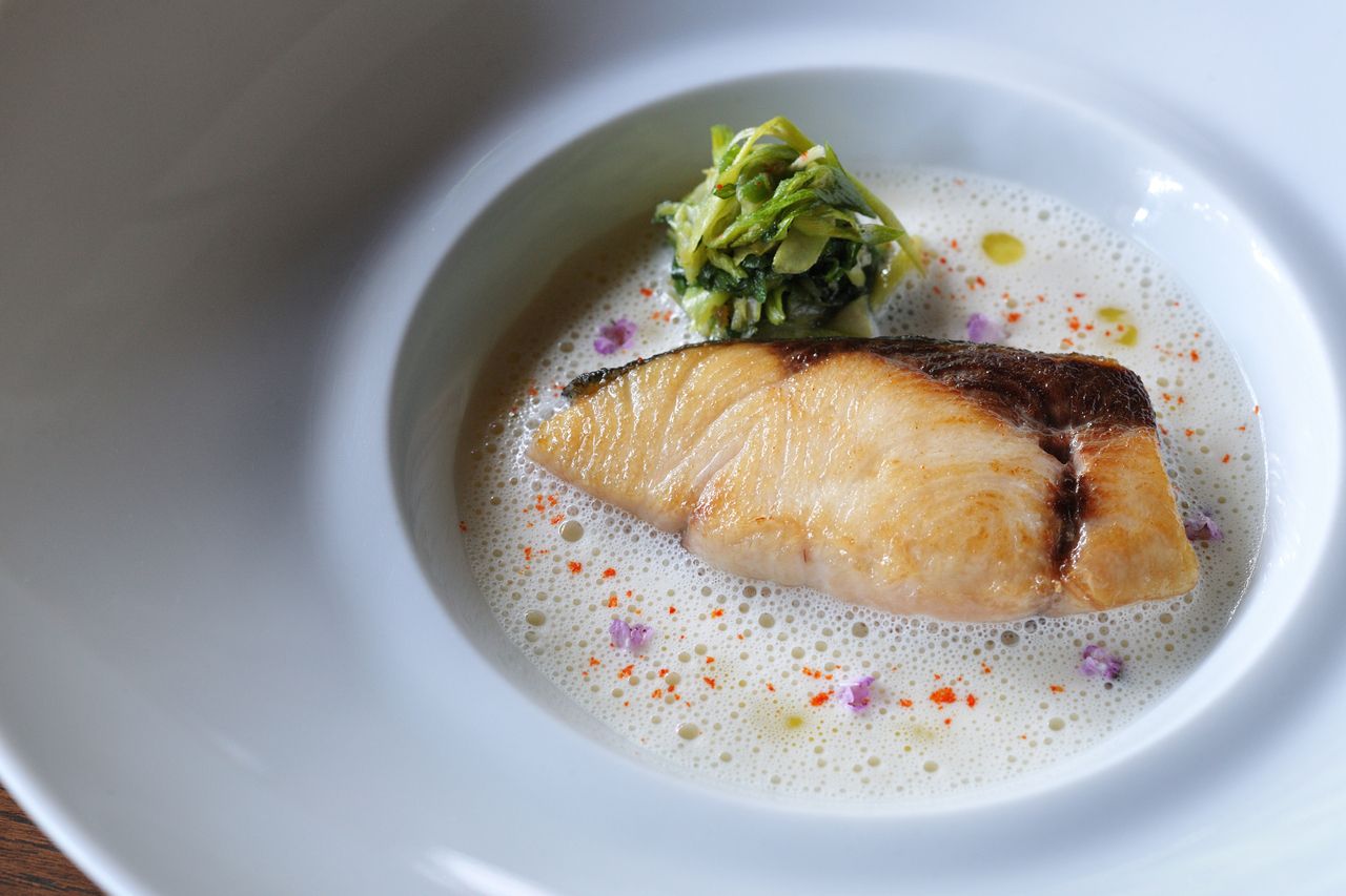 LUNCH COURSE "TOKINOKA" with One Drink