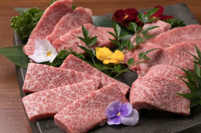 [Recommended] Cow Language Proficiency Course