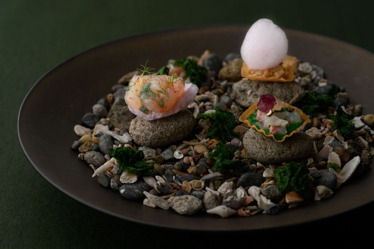  Dîner / ディナー