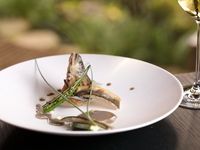 ランチコース 全6品