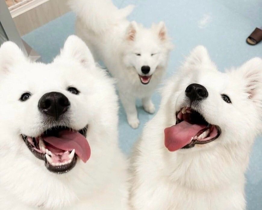 Weekends and Holidays: Regular ticket (50 minutes)