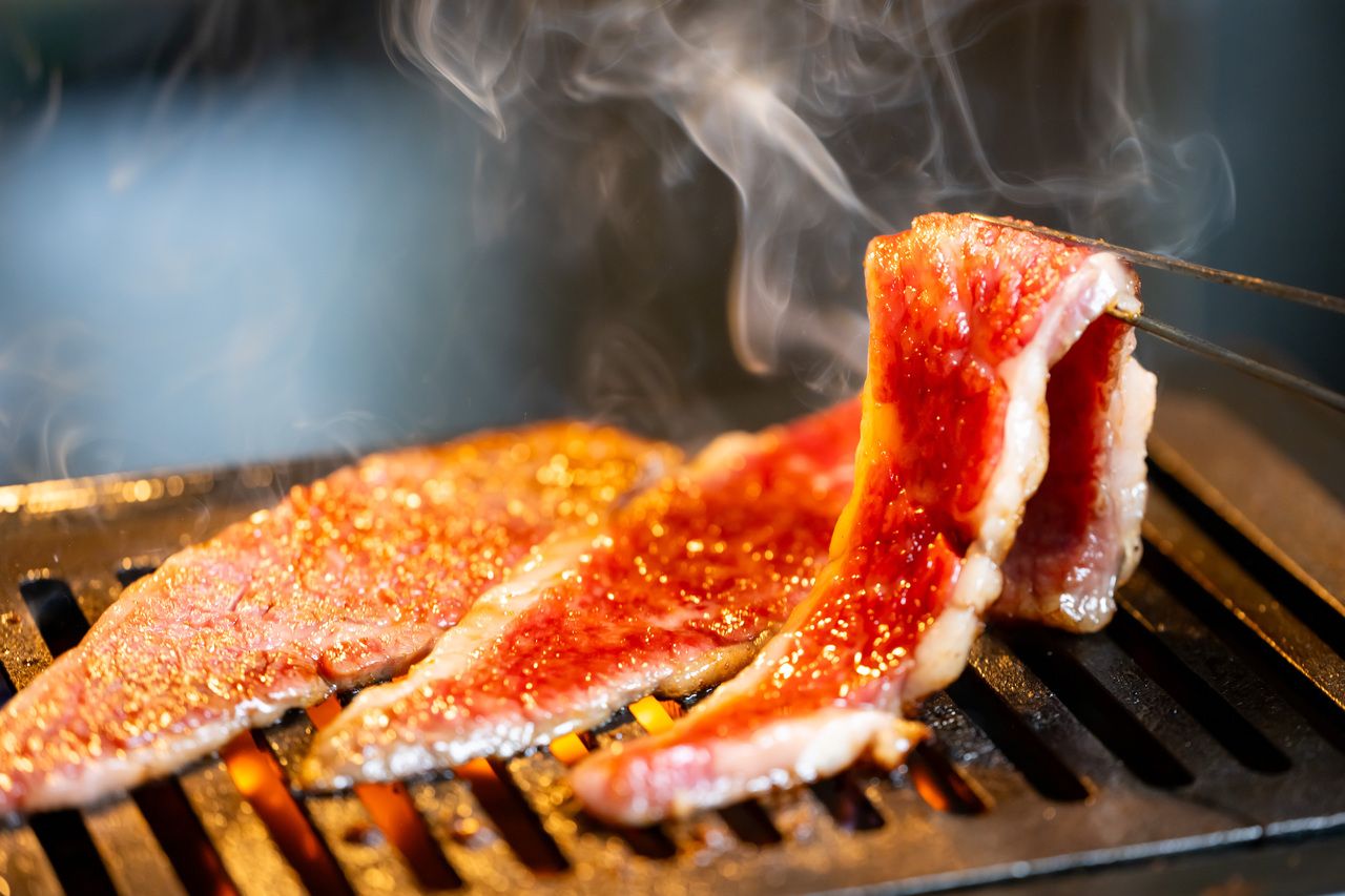 [Nagai Enjoyment Course with 1.5 hours of all-you-can-drink]