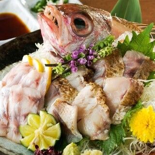 紅瞳のどぐろコース『柊』