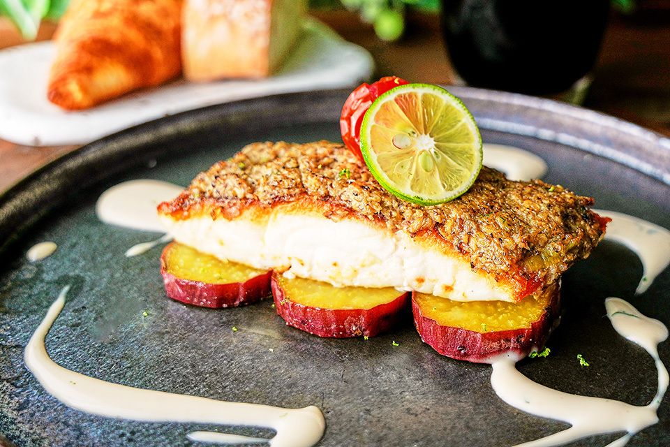 9/1～【ランチ】WEB予約限定選べるドリンク1杯付き★野菜たっぷり！人気のデザート含むサラダブッフェランチ＜メイン：選べる肉料理or魚料理＞