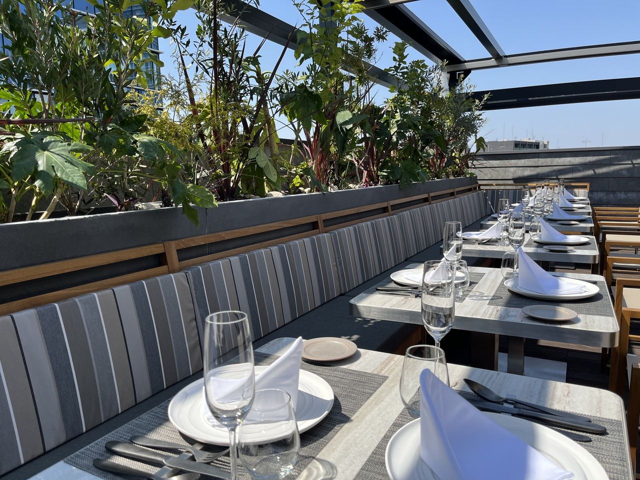 【Pranzo BALCONE】 Lunch BALCONE course 6 dishes