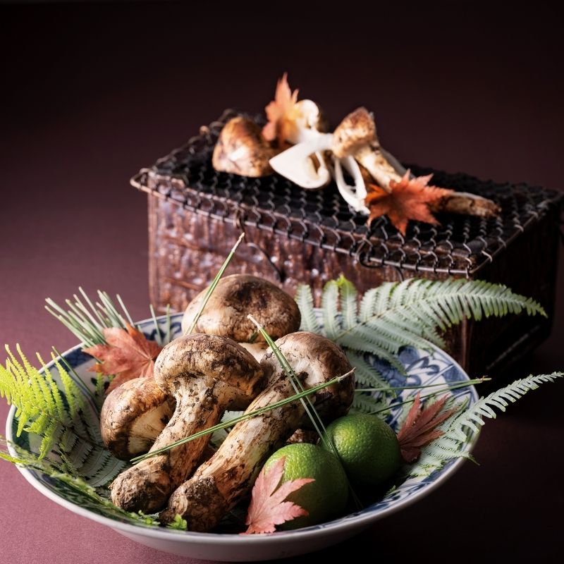 Autumn Exclusive: Special Matsutake Kaiseki