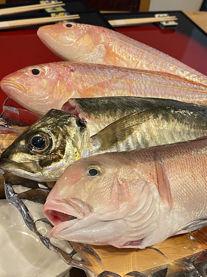 夜のおまかせコース　