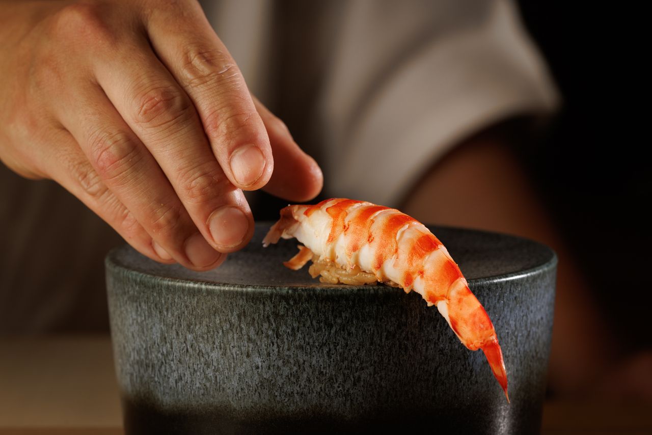 【大将お任せ】コース SUSHITOKYO81