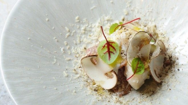 [Pranzo Stagionale] Seasonal Lunch Course (12/24, 12/25)