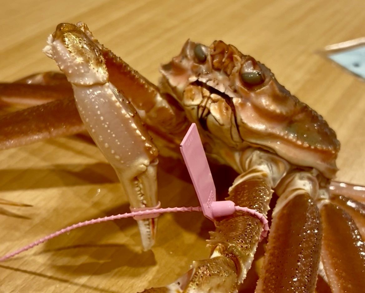 京都美食めぐり必見❗️タグ付き松葉蟹お手軽プラン